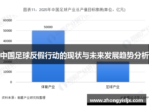 中国足球反假行动的现状与未来发展趋势分析