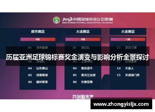 历届亚洲足球锦标赛奖金演变与影响分析全景探讨