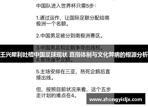 王兴犀利吐槽中国足球现状 直指体制与文化弊病的根源分析